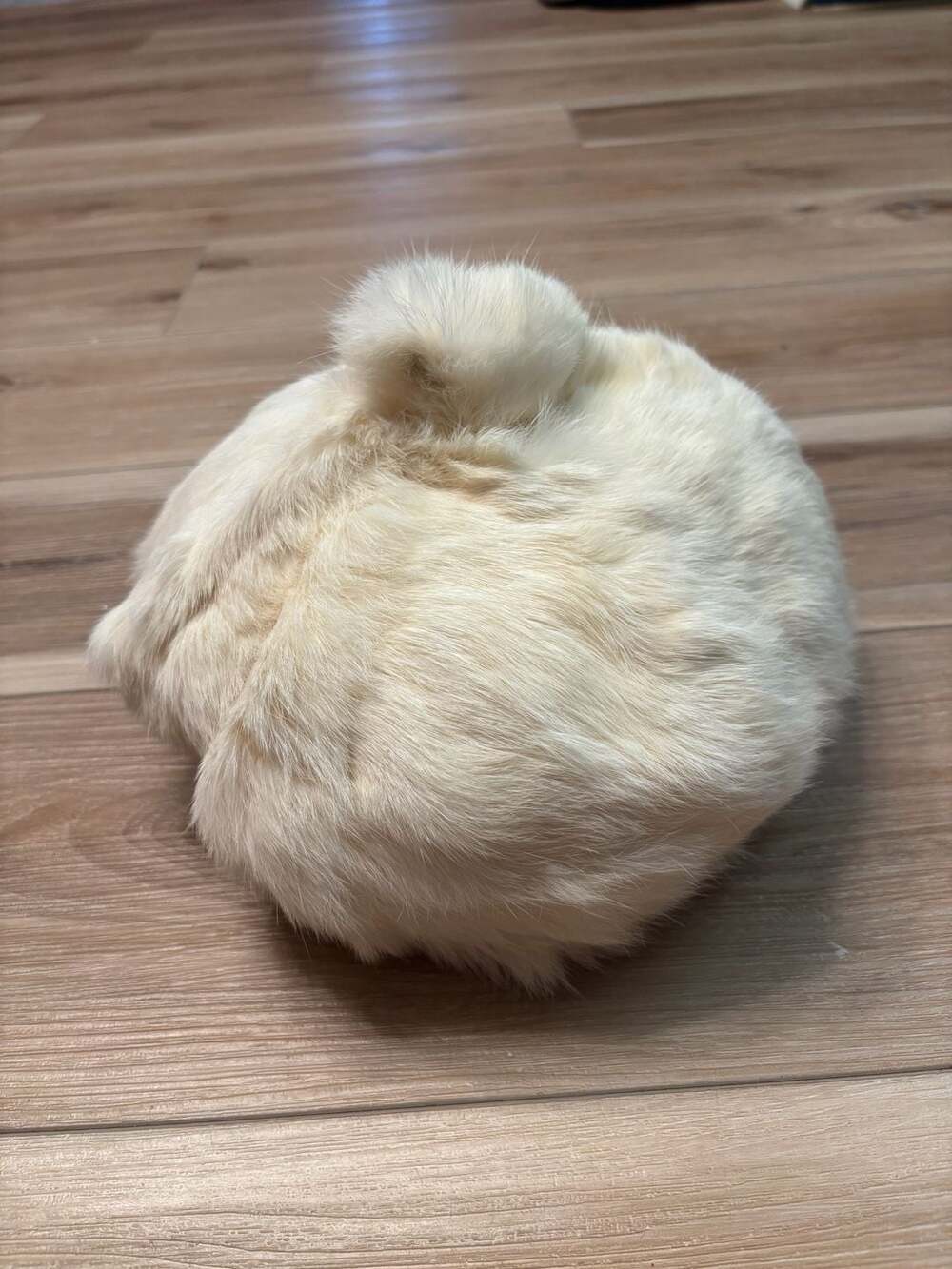 Vintage 1960s White Rabbit Fur Beret Tam Hat with Pompom - Picture 2 of 5